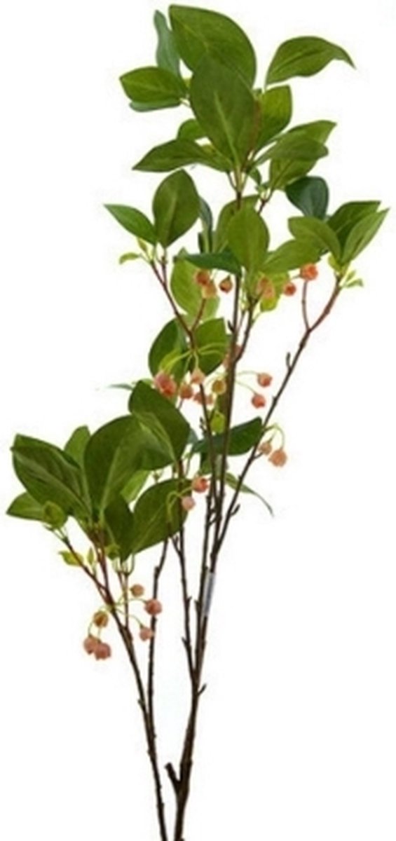 Pronkklokje tak 110 cm groen/roze