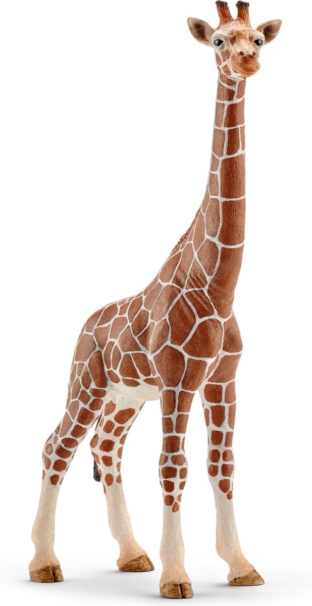 Schleich | Giraf | Wijfje