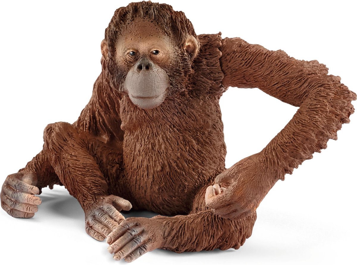 Schleich | Orang-Oetan, Vrouwtje |
