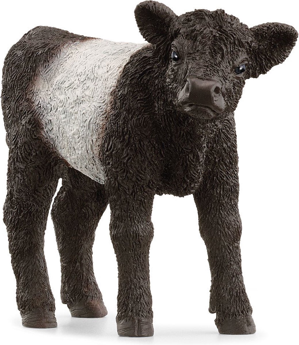 Schleich | Galloway Kalf |