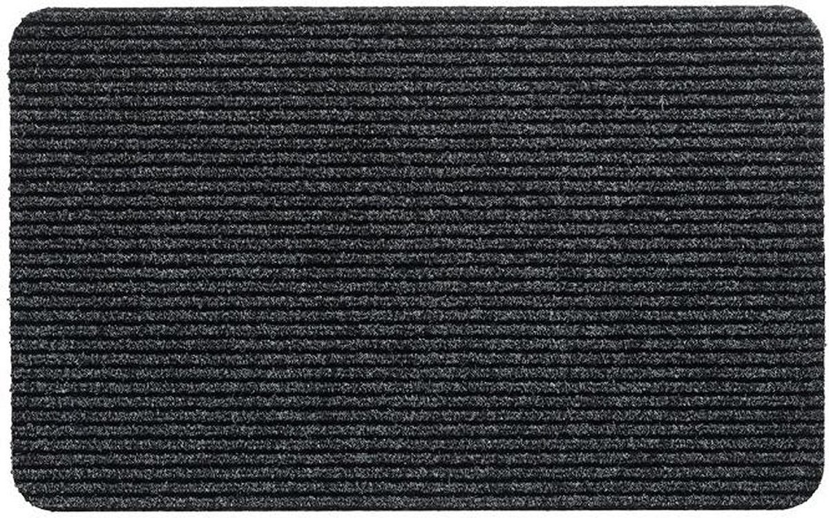 Schoonloopmat Renox | Deurmat | Antraciet | 40x60 cm
