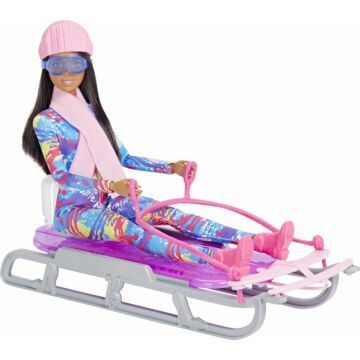 Barbie Doll And Accessory (2013009)