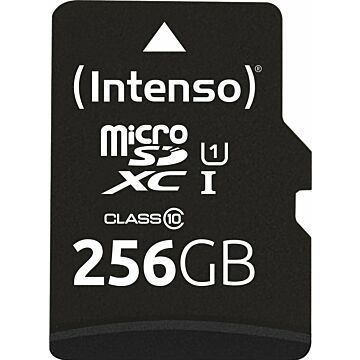 Intenso microSDXC          256GB Class 10 UHS-I U1 Performance (712749)