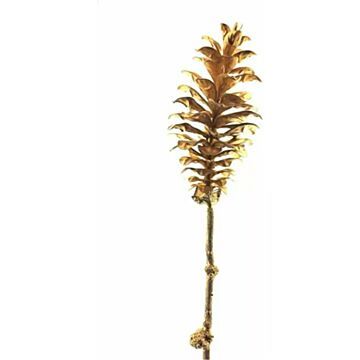 Kunsttak Pine cone goud 64cm - Wohi.nl