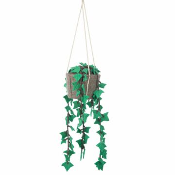 Kidsdepot Hanging Plant Hedera | Babyhuys