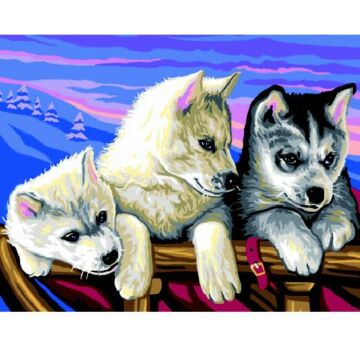 Schilderen Op Nummer Huskies  (2401036)