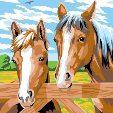 Schilderen Op Nummer Paarden  (2402007)