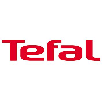 Tefal DT 6131 Access Steam First kledingstomer (575836)