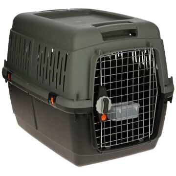 Transportbox ECO