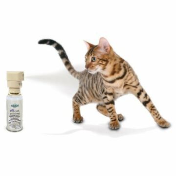 PetSafe ssscat afweerspray