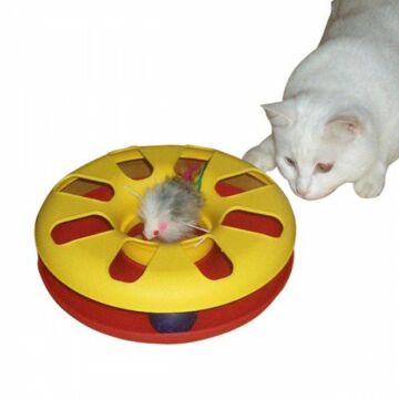 Racing Wheel