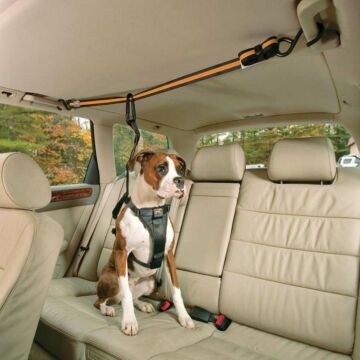 Kurgo Auto Zip Line voor honden