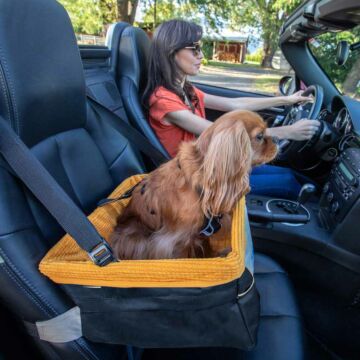 Kurgo Skybox Booster Seat voor honden