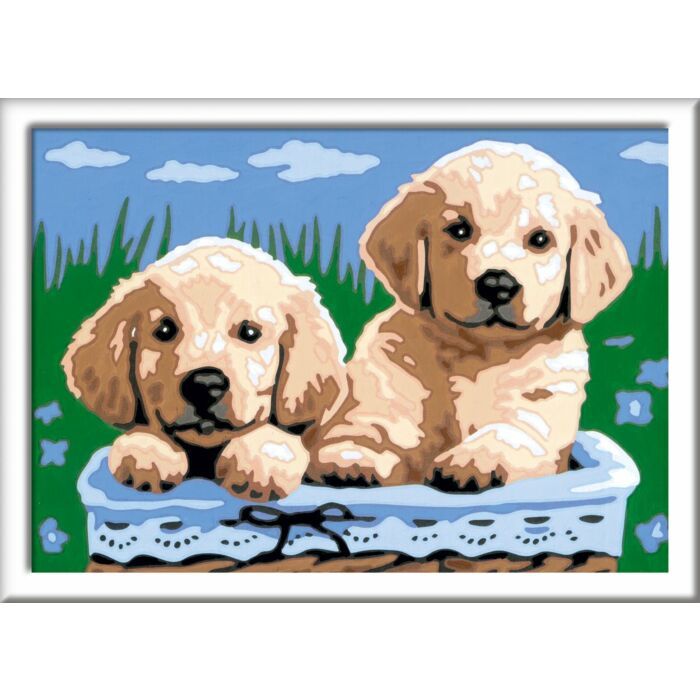 Ravensburger | Schilderen op Nummer | Schattige Puppy's