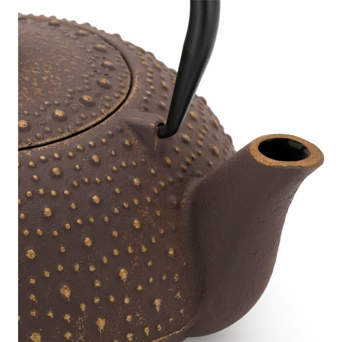 Bredemeijer | Theepot | 0,9L | Gietijzer | Aubergine
