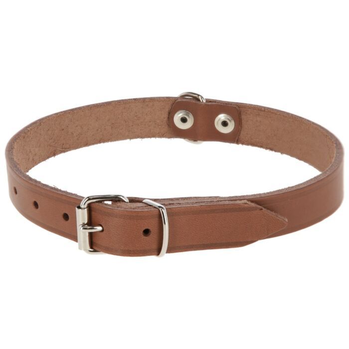 Honden Hals Riem | Maat 29-37 cm | Zwart | Mexicaans Design