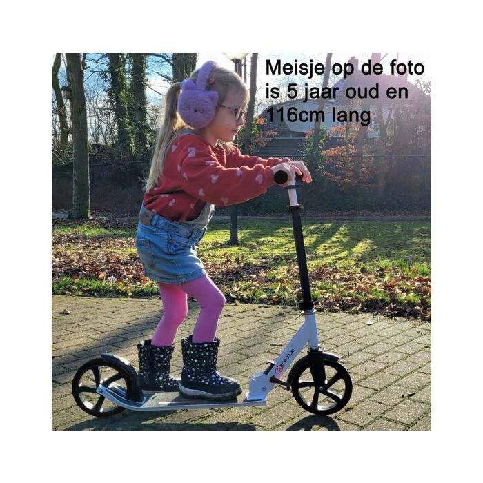 2Cycle Step - Aluminium - Grote Wielen - 20 cm - Blauw-Wit - Autoped - Scooter