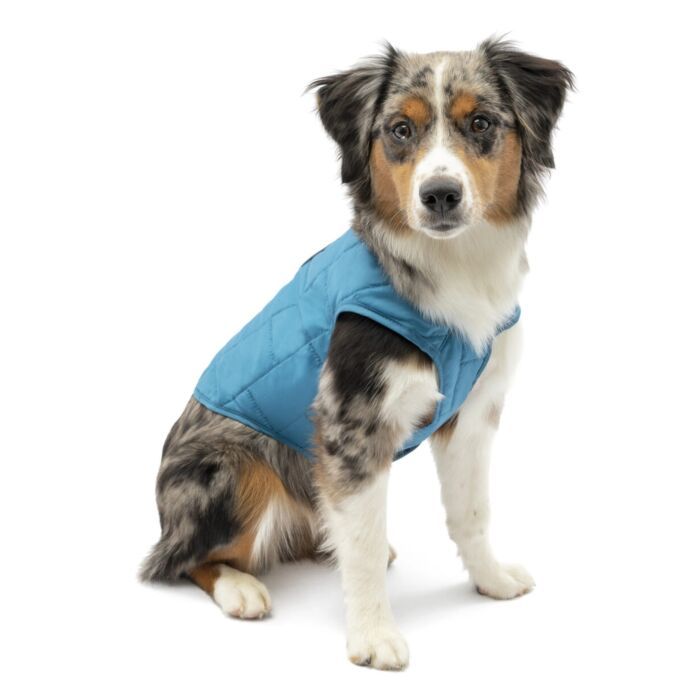 Kurgo | Hondenjas Loft Jacket | Lichtblauw, Waterbestendig, Omkeerbaar