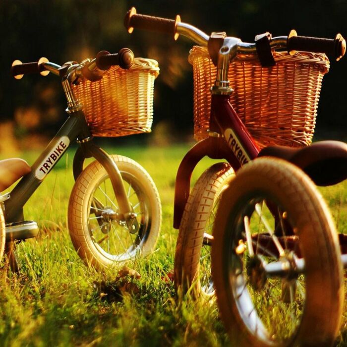 Trybike | Fietsmandje | Gevlochten riet | 26 x 19 x 18 cm