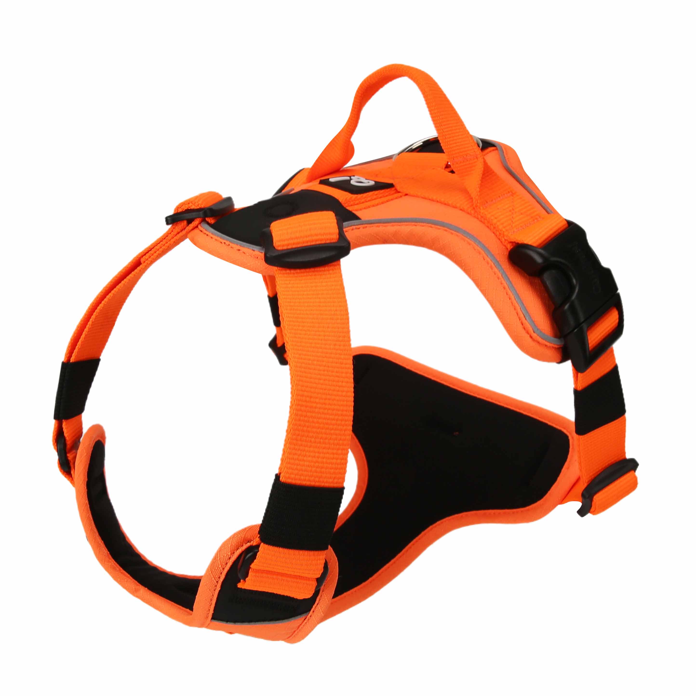 Quapas! | Hondentuig | Oranje