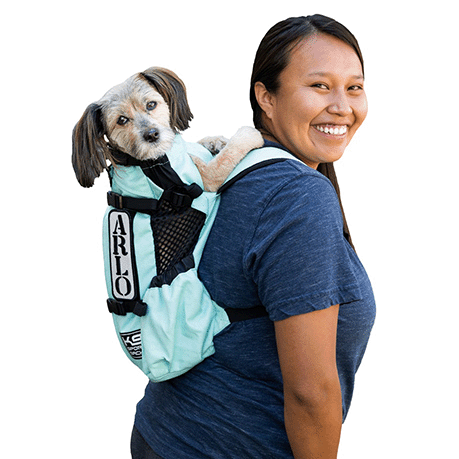 K9 Sport Sack – Groen, ademend en duurzaam hondenrugzak