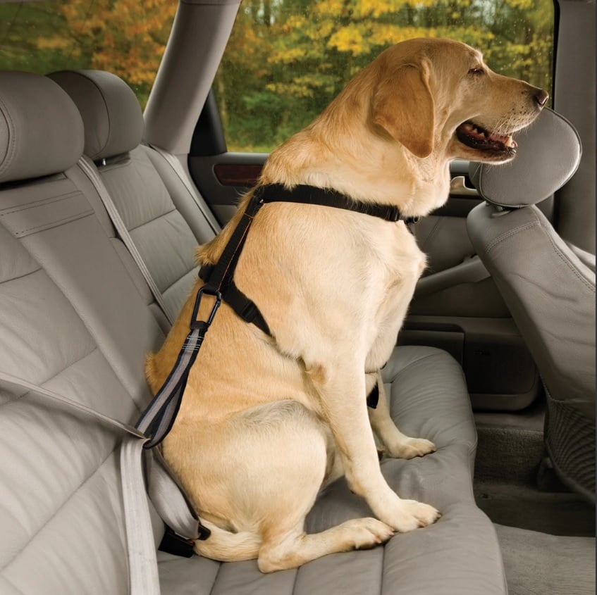 Kurgo | Tussenstuk Autogordel | Veiligheidsbevestiging voor Honden