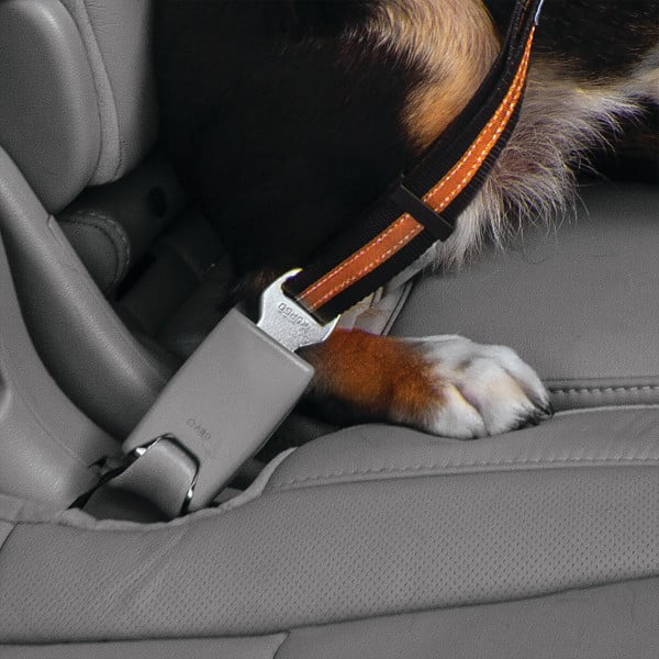 Kurgo | Direct to Seatbelt Autogordel | Oranje