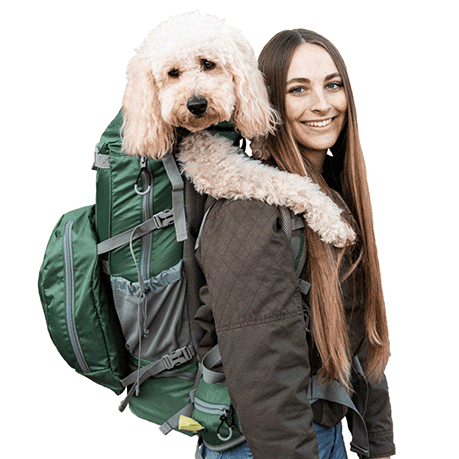 K9 Sport Sack | Rugzak | Groen | 50-60 Liter